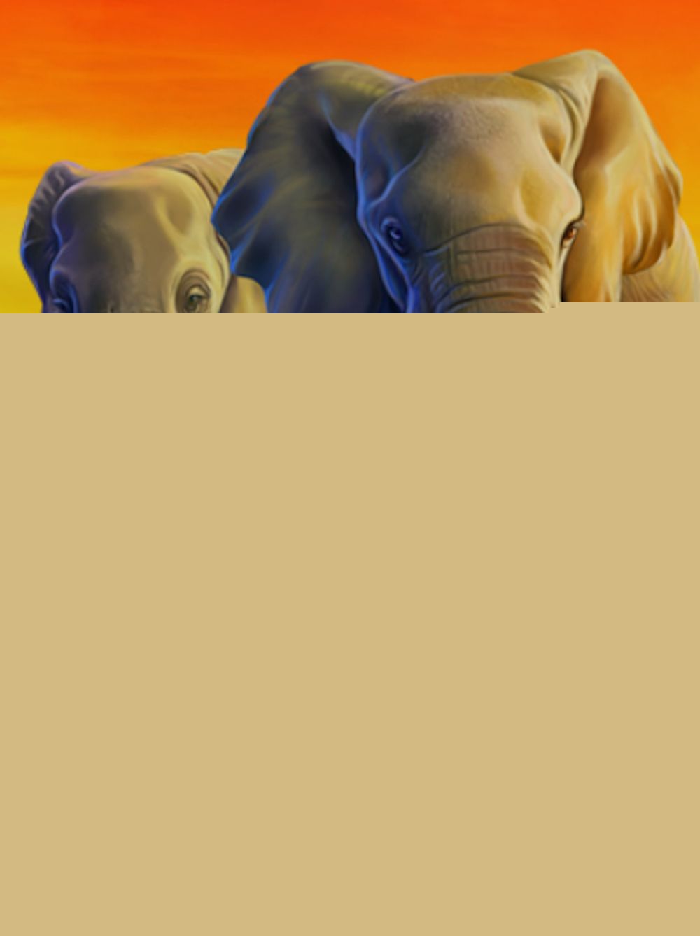 African Elephant